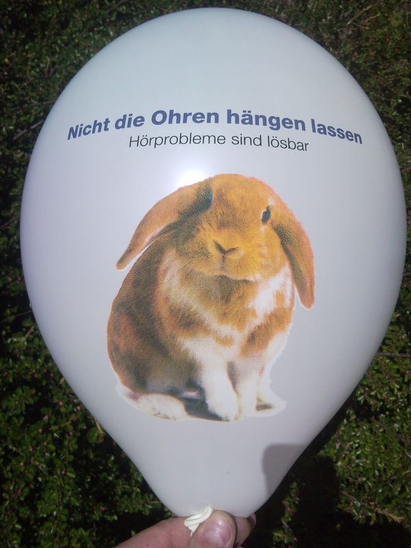 CMYK print on a balloon: rabbit