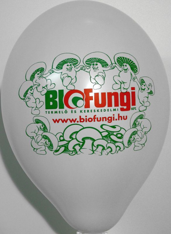 Spot-colour print on a balloon: BioFungi